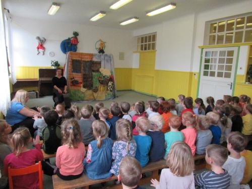 Karneva zvířat