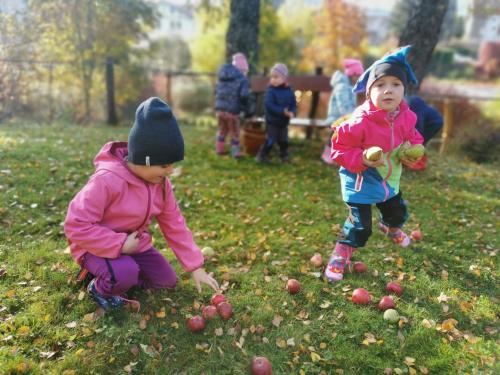 Zamykání zahrady - Kuřátka + Sovičky